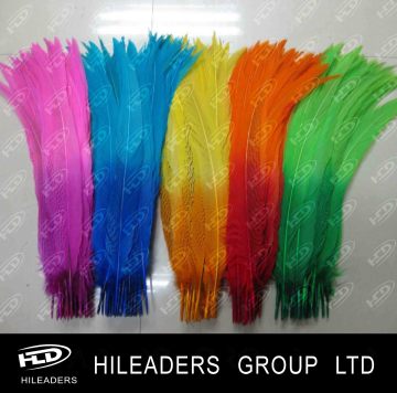 Dyed Silver Pheasant Feather (FH013)