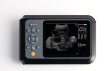 sheep pregnancy ultrasound equipment