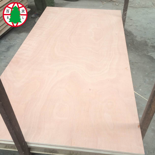 Okoume veneer plywood pine shutter ply 18mm