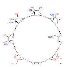 Octakis (6-Amino-6-Deoxy) -γ-cyclodextrin CAS: 171283-79-7