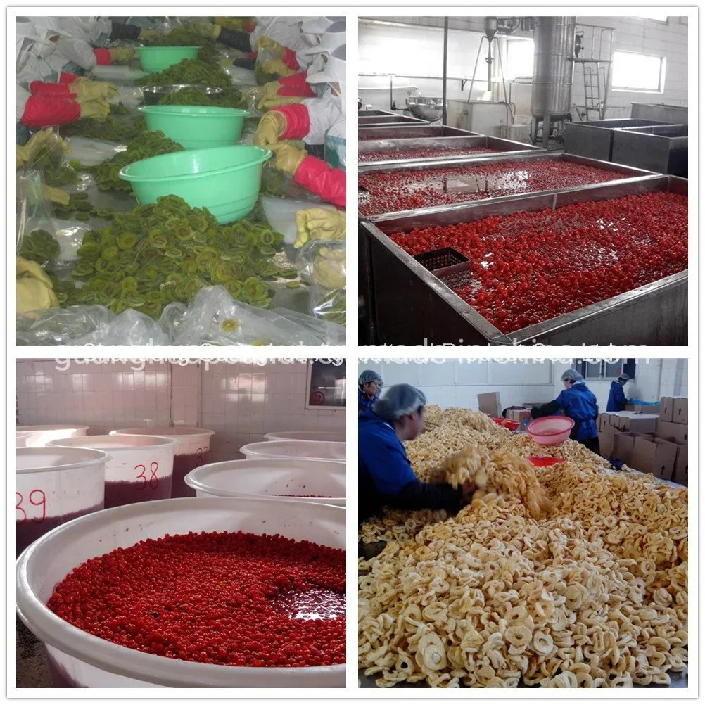 Perfect Quality Dried Fruits From Shandong Guanghua