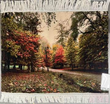 Mountain Landscape Exquisite Rug