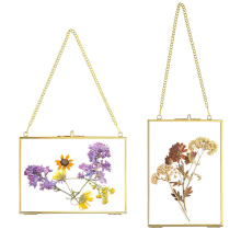 Brass Wall Hanging Photo Frame with Chain for Pressed Flowers - Multiple Sizes and Shapes