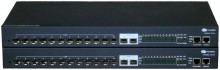 Multi-Port Gigabit Ethernet Multiplexer