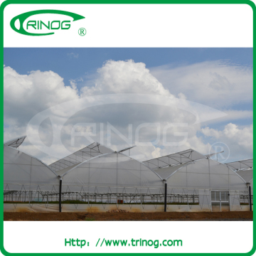 Large size agriculture hoop green house with film cover