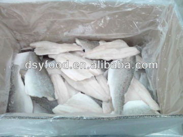 Frozen Seabass fillet