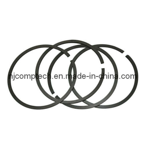 Reciprocating Compressor Seal