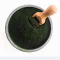 Pure Vulgaris Chlorella Powder / Chlorella Extract Powder