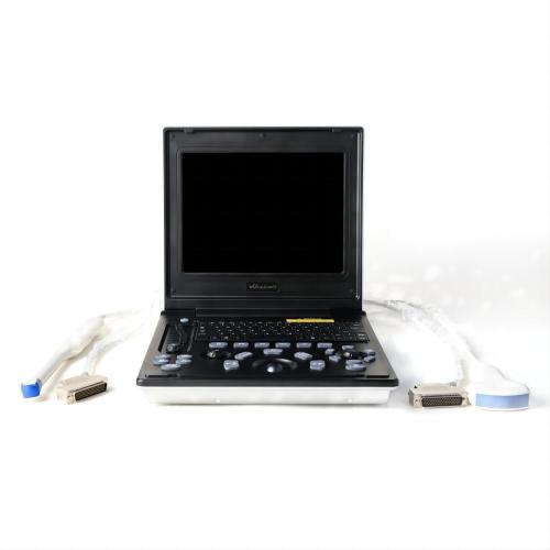 Laptop echografie -apparatuur voor hartziekte Bichon Frise