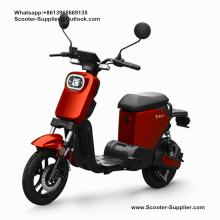 EEC Removable Lithium Battery  Bike