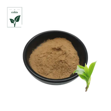 Green Tea Extract 98% Tea Polyphenol