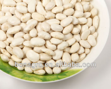 2013 crop price of white kidney beans