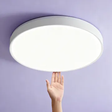 Stylish Indoor LED Ceiling Fixture