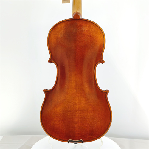 General grade acoustic 4/4 violin