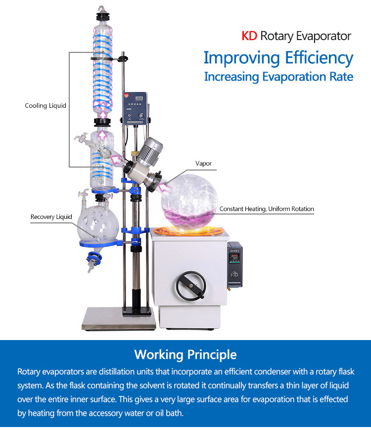 50L Big Lab Vertical Rotary Evaporators