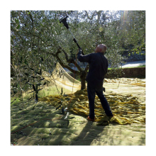 Customizable High-Quality HDPE Agricultural Orchard Fruit Collection Nets