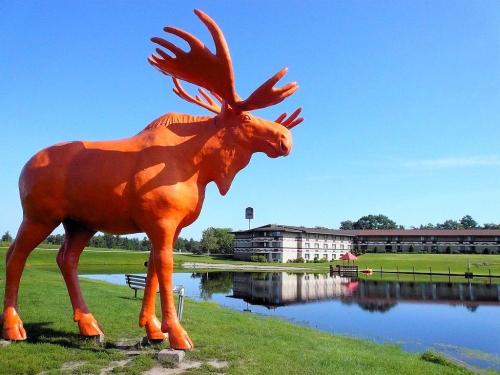 Scultura in Moose Scultura in Vetroresina Decorative Outdoor