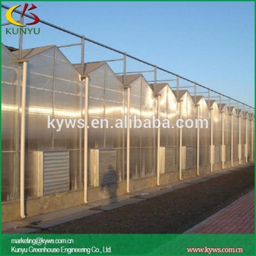 Polycarbonate greenhouse industrial greenhouse commercial greenhouses for sale