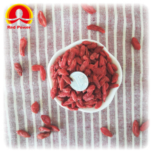 HALAL Red Wolfberry Benefits