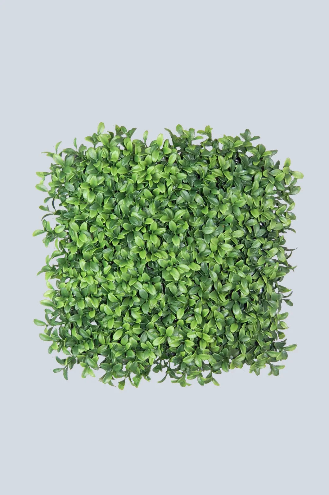 PE Four-Footed Big Boxwood Turf Artificial Plant Wall Panel for Home Decoration (50154)