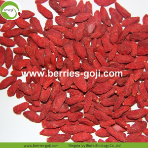 Bán sỉ Siêu Thực phẩm Cải thiện Thị giác Malaysia Goji Berries