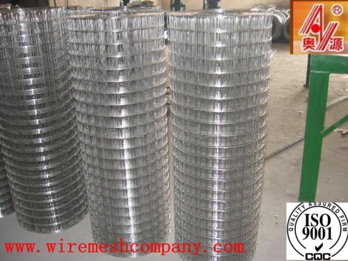 Factory products SS welded wire mesh ,Galvanized welded wire mesh