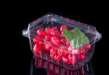 Disposable Plastic Fruit Tray Fruit Clamshells