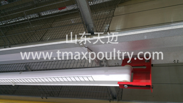 Chicken Egg Conveying Belt System