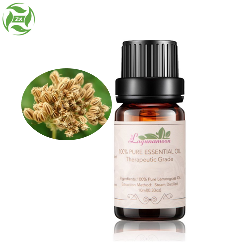 Bulk Essential Oils Set Cnidium Oil Flavor Oil