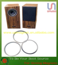 Speaker neodymium magnets