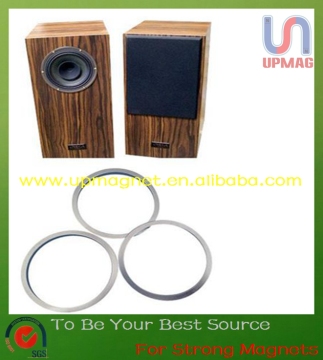 Speaker neodymium magnets
