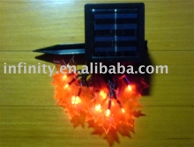 Maple Light Solar lamps (10L)