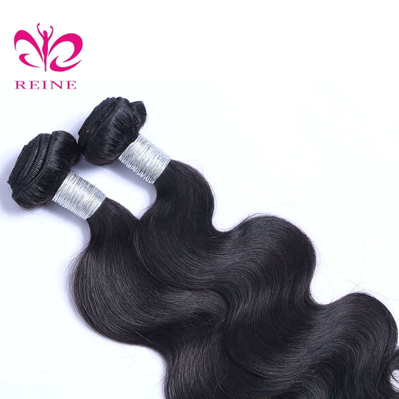 REINE 100% Full Cuticle Aligned Virgin Body Wave Hair bundle Unprocessed Human Hair virgin Malaysia hair