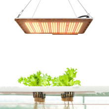 Best Succulent Grow Light Indoor Growing Lamp