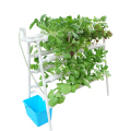 Inomhus planterar ett hydroponics plastodlingssystem