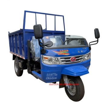 Mini Dump Truck for Sale: Motor Tricycle Simple Dump Truck