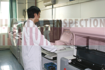 Inspection System 