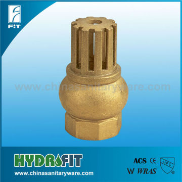 brass foot valve