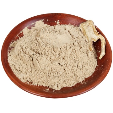 Angelica Raw Material Powder Dong Quai Powder