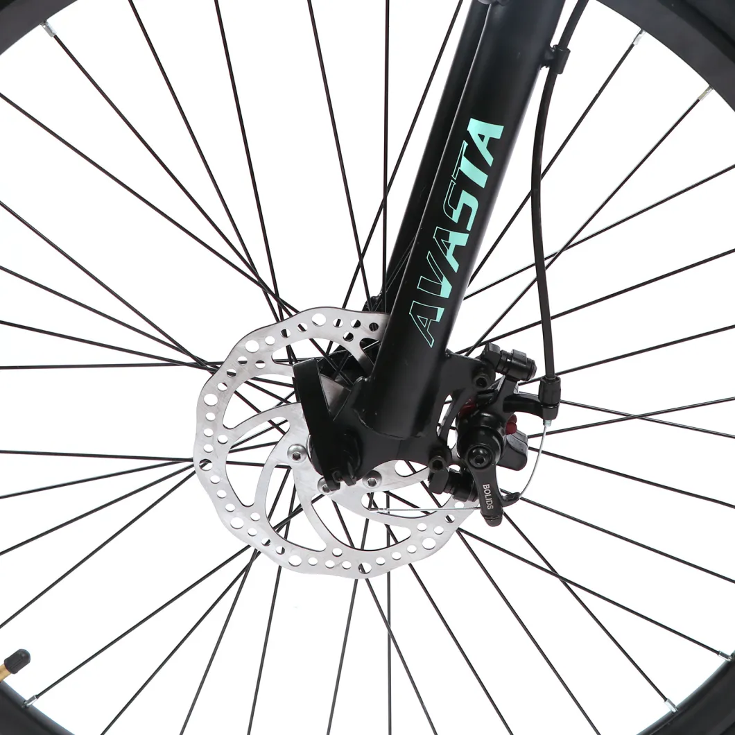 Avasta High Quality Disc Brake 21 Speed Mountain Bicycle