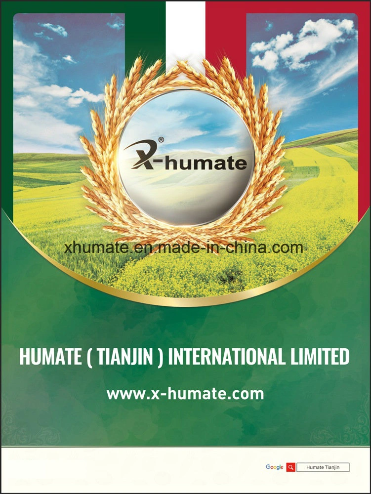 Basal Fertilizer Magnesium Humate Granular