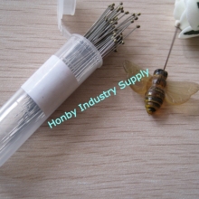 Stainless Steel Entomology Insect Pin for Specimen Collection