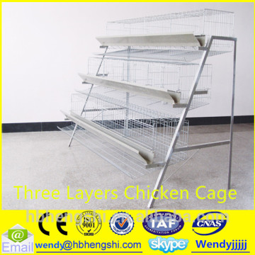 canary cages/chicken egg incub/bird trap cage