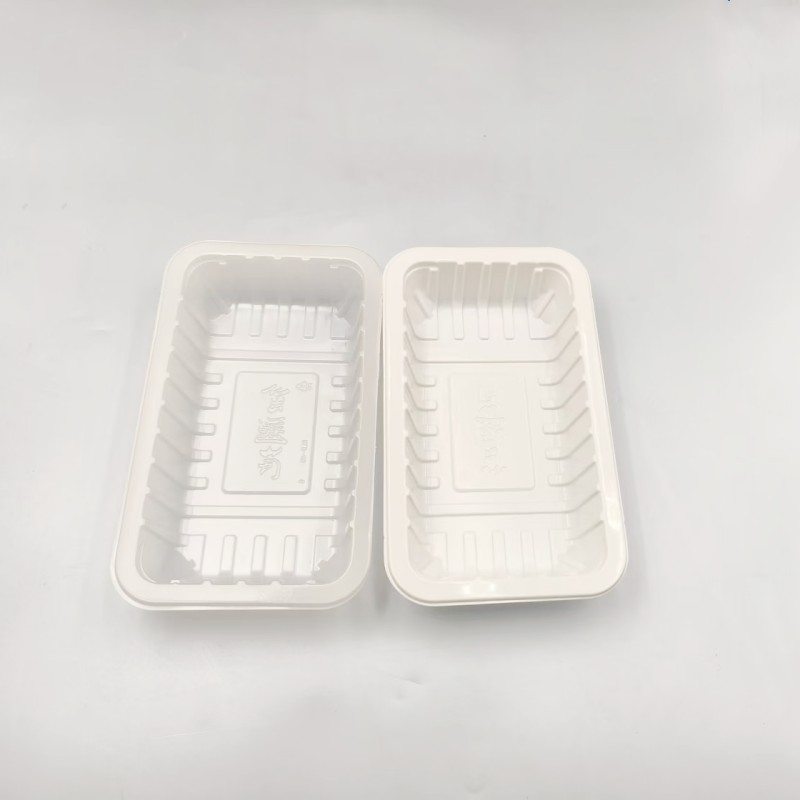 pp food tray-0003 pp food tray-0003