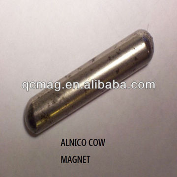 COW MAGNETS FOR SALE COW STOMACH MAGNET