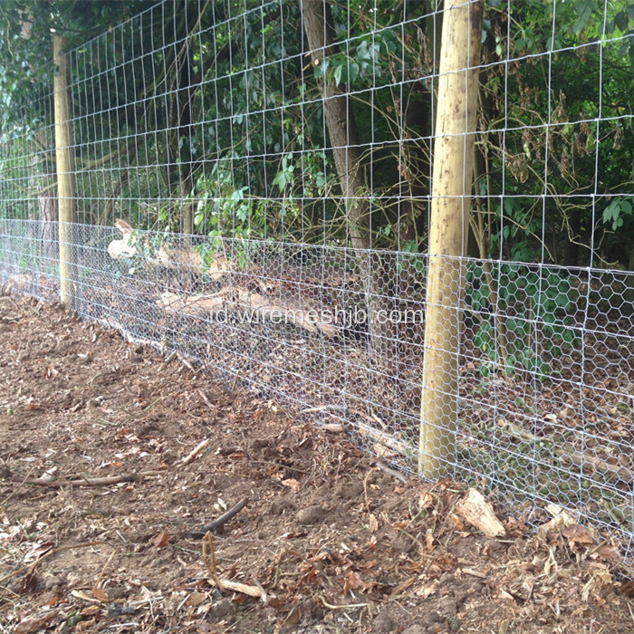 Woven Wire Fencing-Galvanized Kraal Network