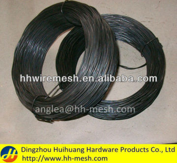 Twisted Iron Wire BWG18 For Brazil