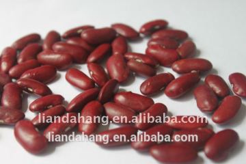 The Newest Crop england red kidney beans