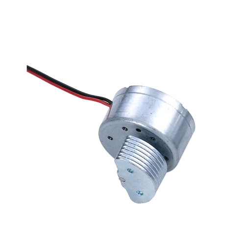 competitive price pancake shape 25mm diameter dc vibrator motor