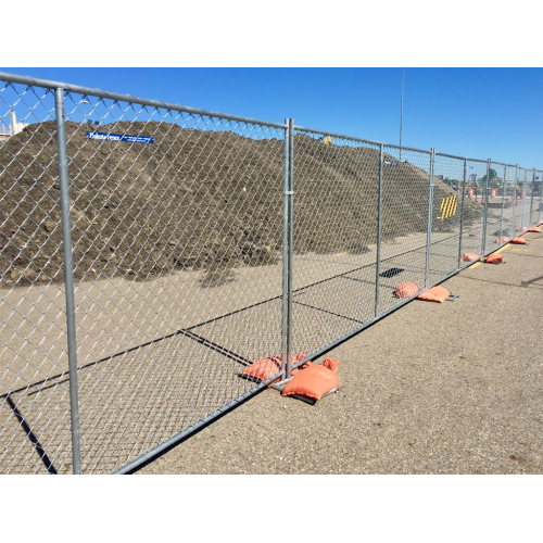 PVC Coated Best Price Galvanized Chain Link Fence